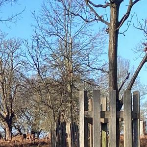 Sketch 7 (Dual SPs & Synths)