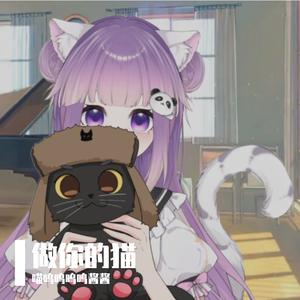 做你的猫