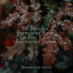 Ecos Nostálgicos en Silencio