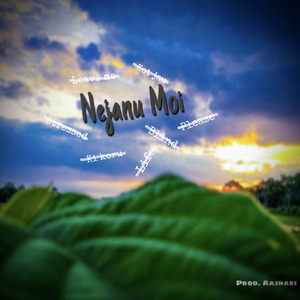 Nejanu Moi