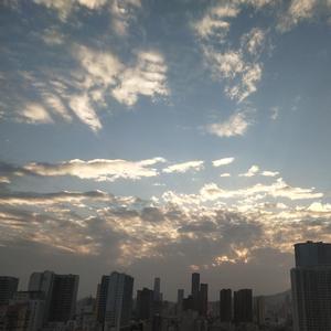 凤凰花开的路口