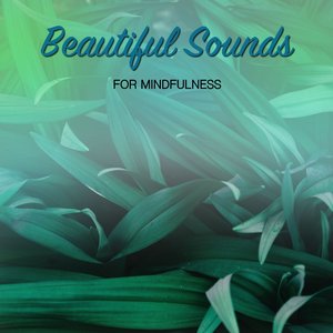 Shining Through the Drum of Rain