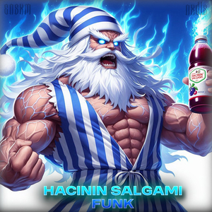 HACININ ŞALGAMI FUNK