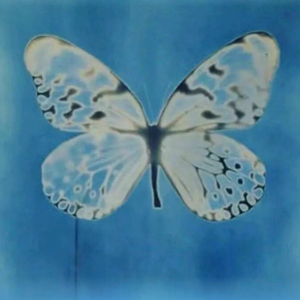 爱是心疼你早就不疼的伤口