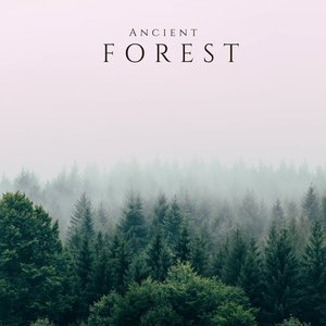 Ancient Forest