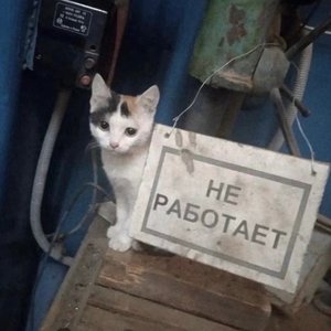 心破碎
