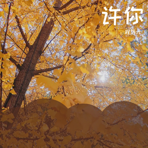 许你