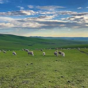 敕勒歌（钢琴伴奏）