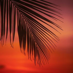 Ekta Gan Likho Amar Jonno