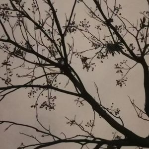 即景：改造我们的学习