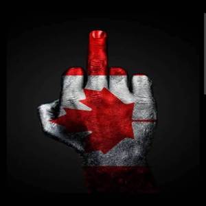 Act Like a Bitch, Be Called Bitch