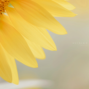 집중이 필요할 때