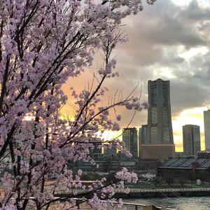 Carly Rae Jepsen-Call Me Maybe（Shmily remix）