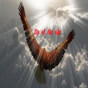 Fly Of The Sky