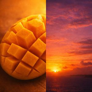 망고빛 노을 (Mango Sunset)