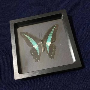 TELL EM (instrumental)