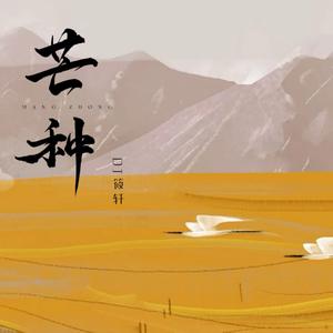 芒种 (DJ筱轩版)