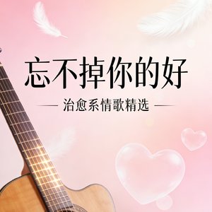 忘不掉你的好.mp3