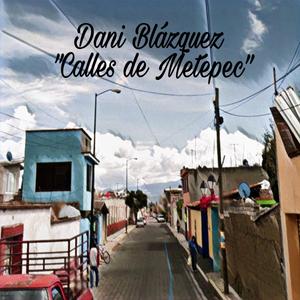 Calles de Metepec