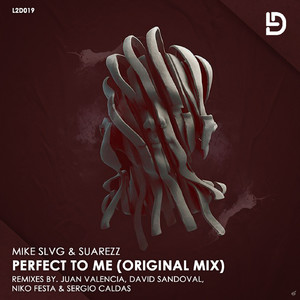 Perfect To Me (Niko Festa Remix)