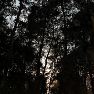 没有人会永远陪你，但永远会有人陪你