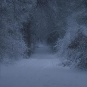 qkthr (ambient version)