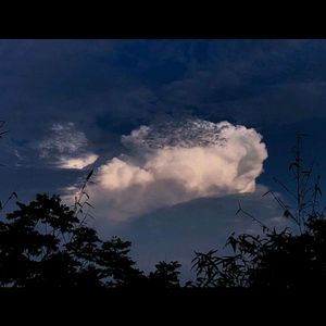 终于放下了（0.8 纯音乐）