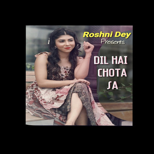 Dil Hai Chota Sa (Cover)