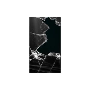 We Danced While It Broke