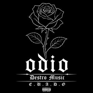 Odio