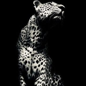 Breaker's Revenge (slowed)