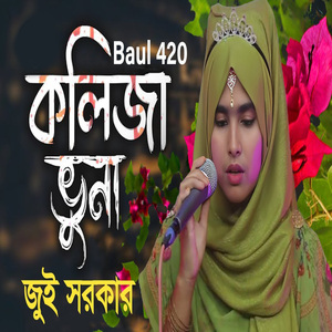 কলিজা ভুনা