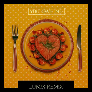 You Owe Me (LUM!X Remix)