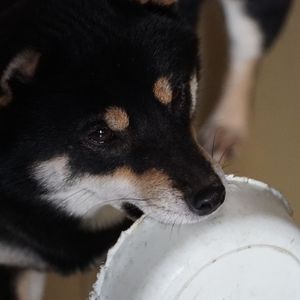 妈妈在做饭，我玩空灵鼓
