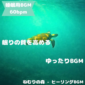 「睡眠用BGM」夜空に瞬く安ら光音