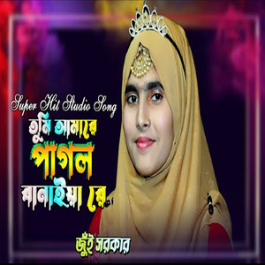 তুমি আমারে পাগল বানাইয়া