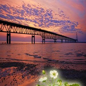 심신을 치유해주는 멜로디