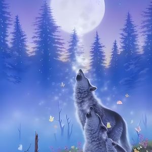 别问我值不值得