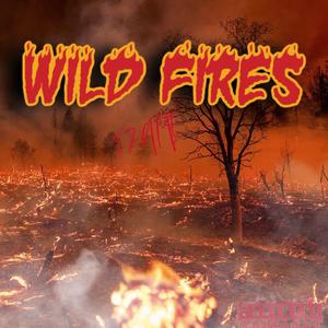 Wild Fires