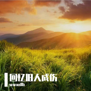 江月伴清宁