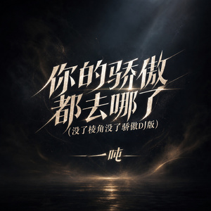 你的骄傲都去哪了(没了棱角没了骄傲DJ版)