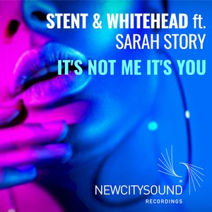 It's Not Me It's You (Original Vocal Mix)