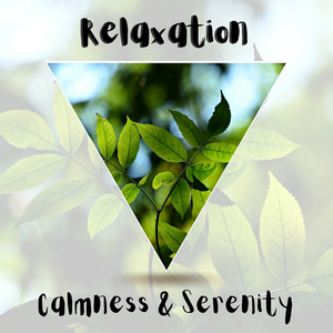 Positive Vibes (with Rain Sound)