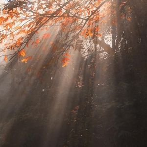 奇妙能力歌（cover陈粒）