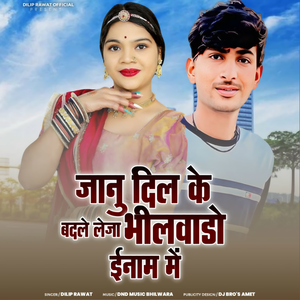 Jaanu Dil Ke Badle Leja Bhilwado