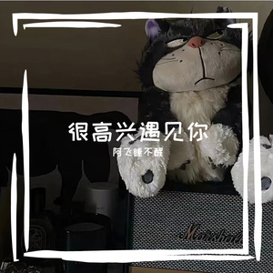 很高兴遇见你（Prod by TuesdayBeats ）