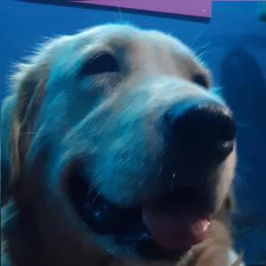 Sick ((Agosto 2023))