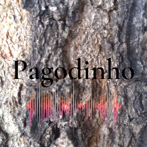 Pagodinho