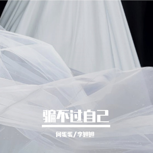 情歌悠悠爱飞扬-（萨克斯现场演绎）