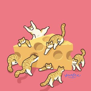 转角捡起弄丢的自己